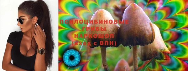 сатива Верхнеуральск
